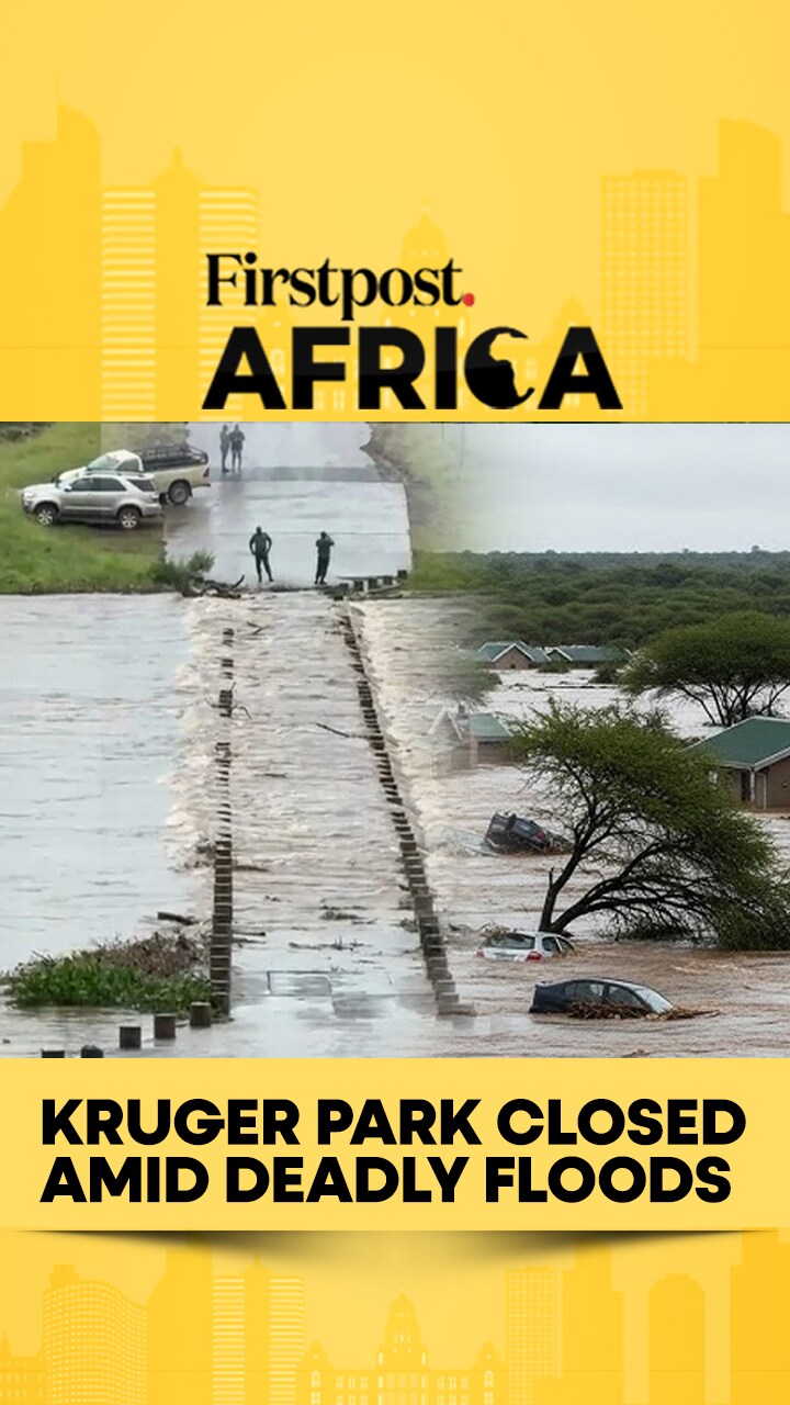  South Africa: Kruger Park Closed Amid Floods | Firstpost Africa | Subscribe to Firstpost 