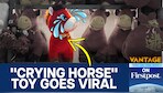  How a Sewing Mistake Created China’s Saddest Viral Horse | Vantage on Firstpost | N18G