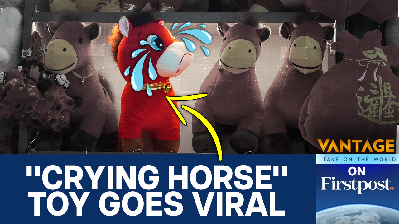 How a Sewing Mistake Created China’s Saddest Viral Horse | Vantage on Firstpost | N18G How a Sewing Mistake Created China’s Saddest Viral Horse | Vantage on Firstpost | N18G