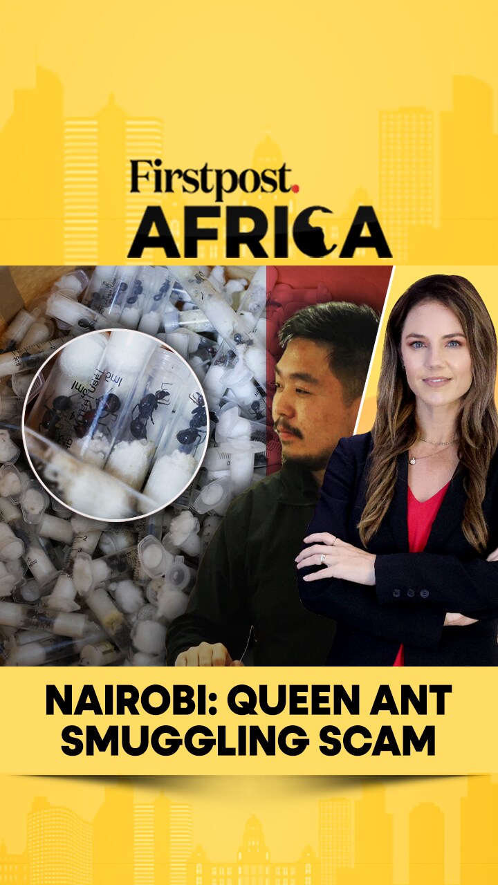 Ant Ranch Scam Nairobi: Queen Ant Smuggling Scam | Firstpost Africa