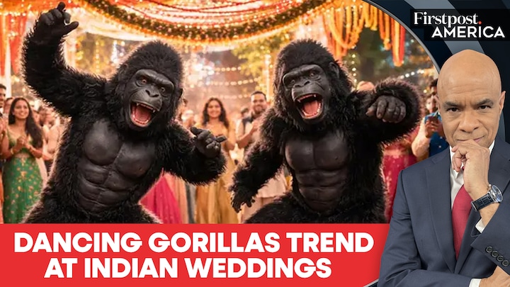 Why Are Dancing Gorillas Attending Gen Z Indian Weddings? | Firstpost America Firstpost Image