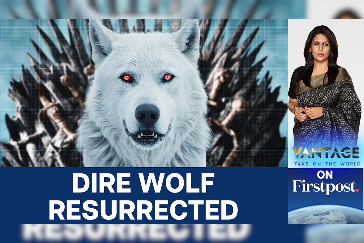 De-Extinction: Scientists Resurrect Dire Wolf that Died 12,500 Years Ago | Vantage with Palki Sharma