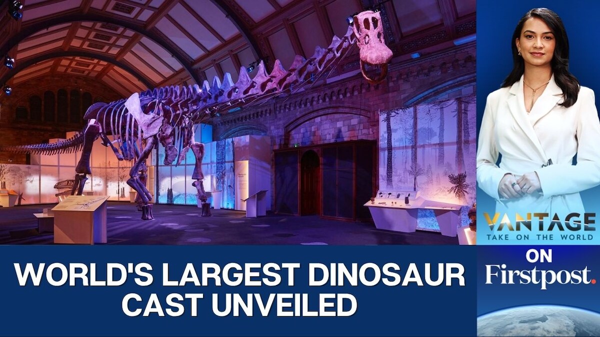 'World’s Biggest’ Dinosaur Cast Unveiled at Peterborough Cathedral ...