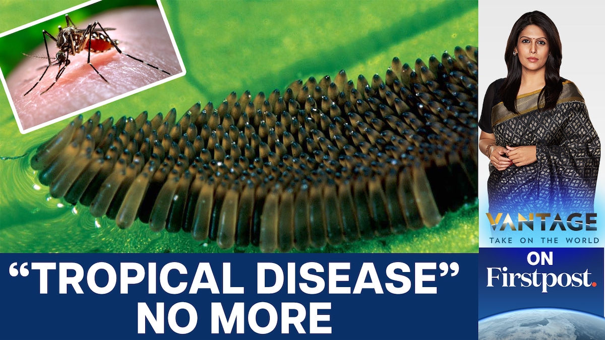 Why Dengue, Chikungunya May Soon Become Endemic in Europe | Vantage with Palki Sharma | N18G
