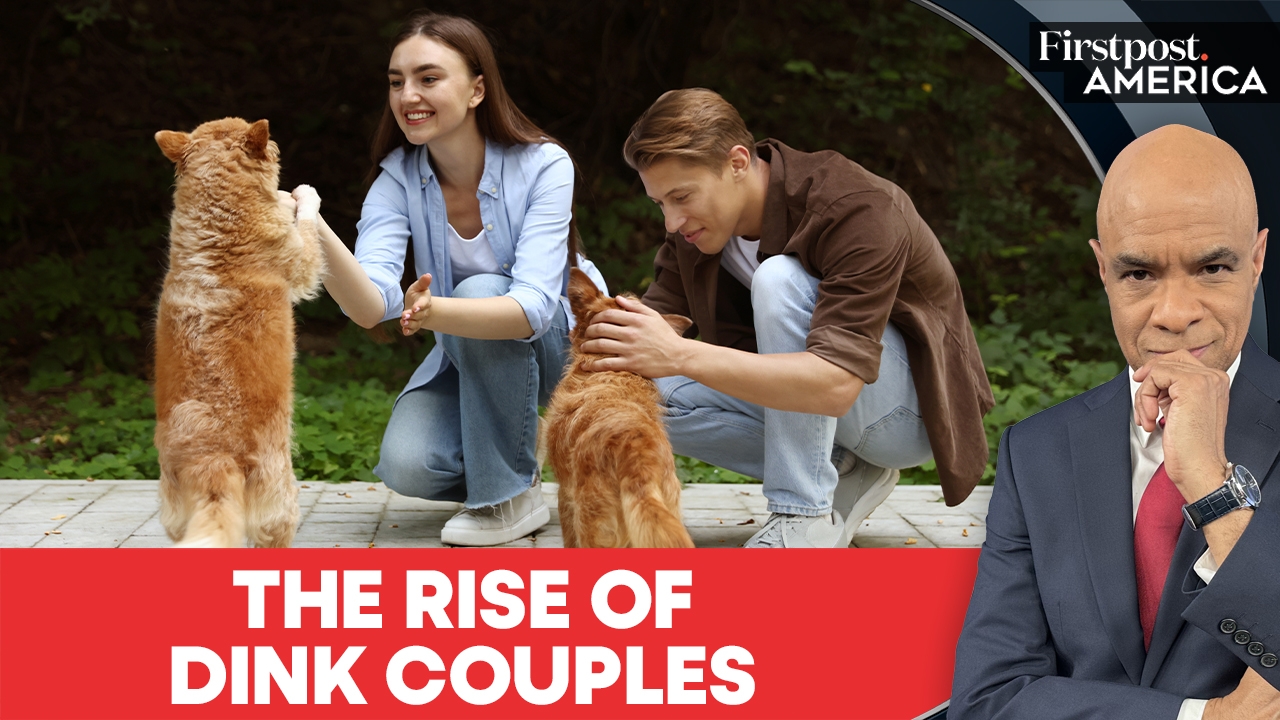 DINKs And DINKWADs Are Changing Family Norms Globally | Firstpost America | N18G