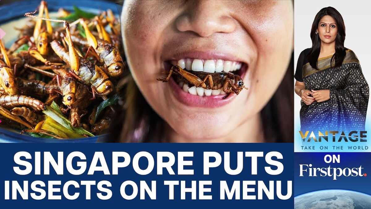 Singapore Approves Insects as Food