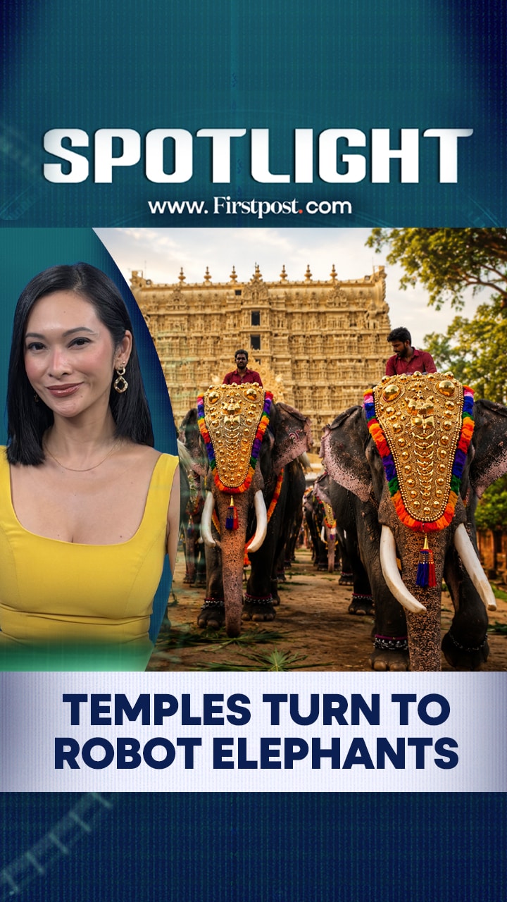 Kerala Temples turn to Robot Elephants | Spotlight Kerala Temples turn to Robot Elephants | Spotlight