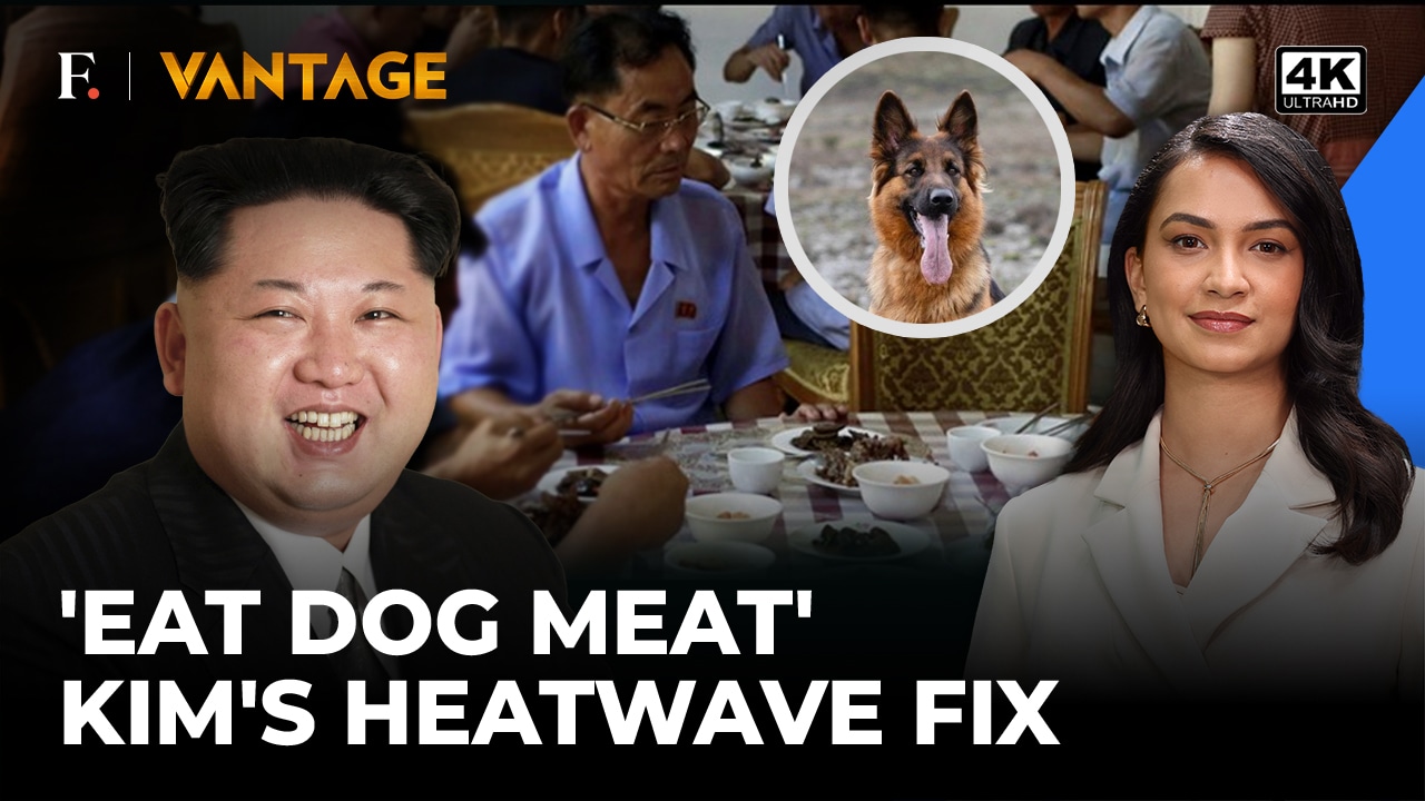 North Korea urges citizens to eat dog meat soup to beat heat wave battering East Asia; Rodong Sinmun pushes dangogi guk as 'cooling' food