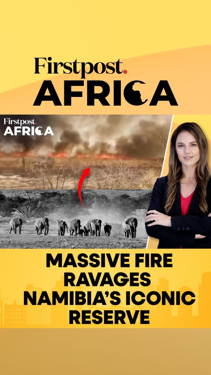 Namibia Wildfire Devastates Etosha National Park|Firstpost Africa