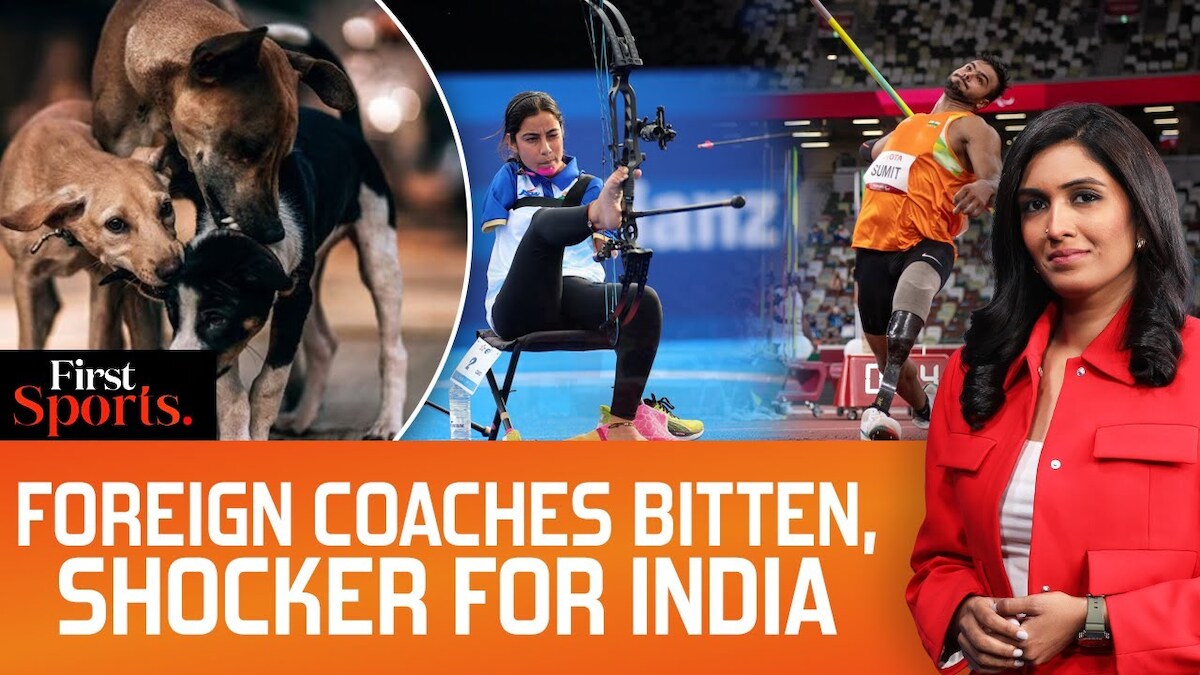 Stray dogs bite foreign coaches at World Para Athletics Championships ...