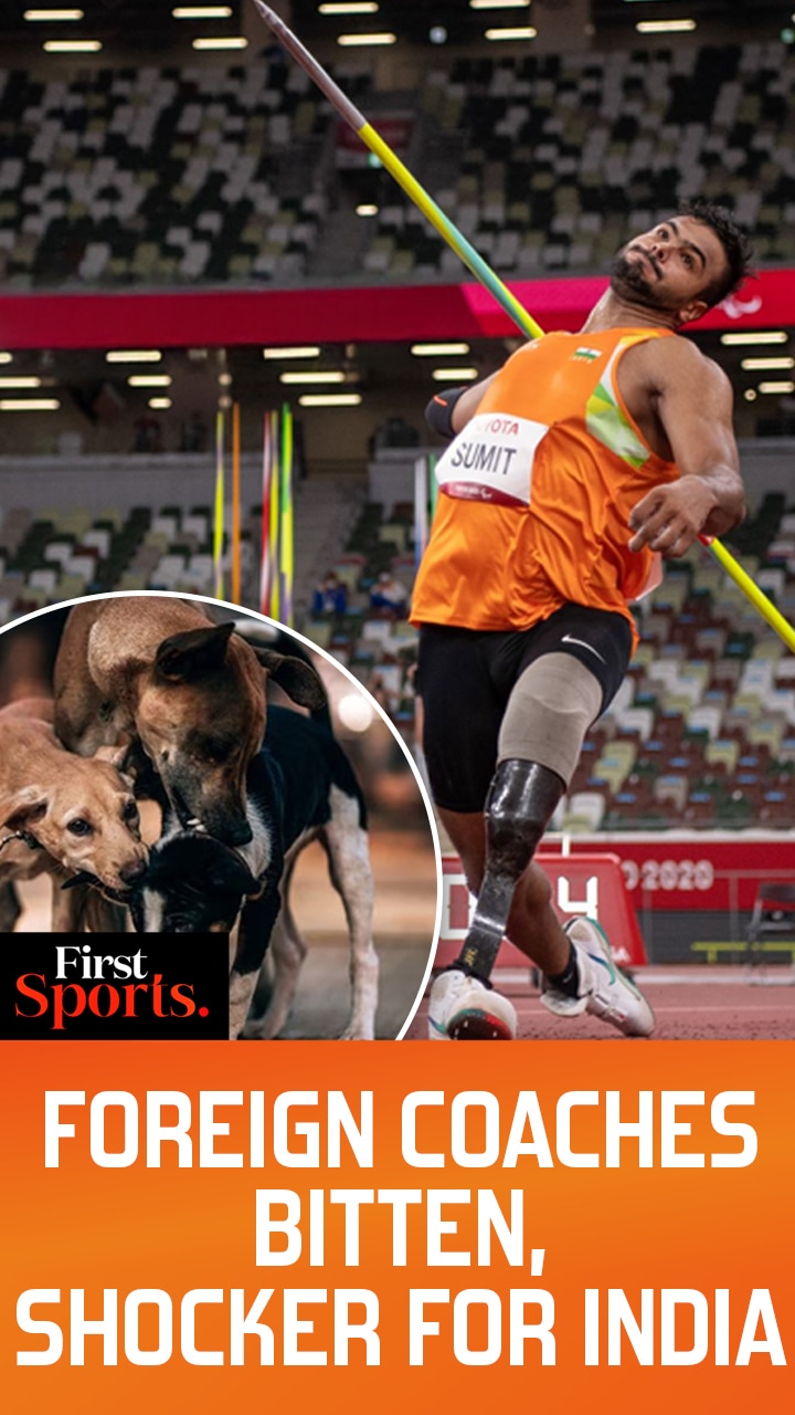 Stray dogs bite foreign coaches during para-Olympic | First Sports With Rupha Ramani | N18G