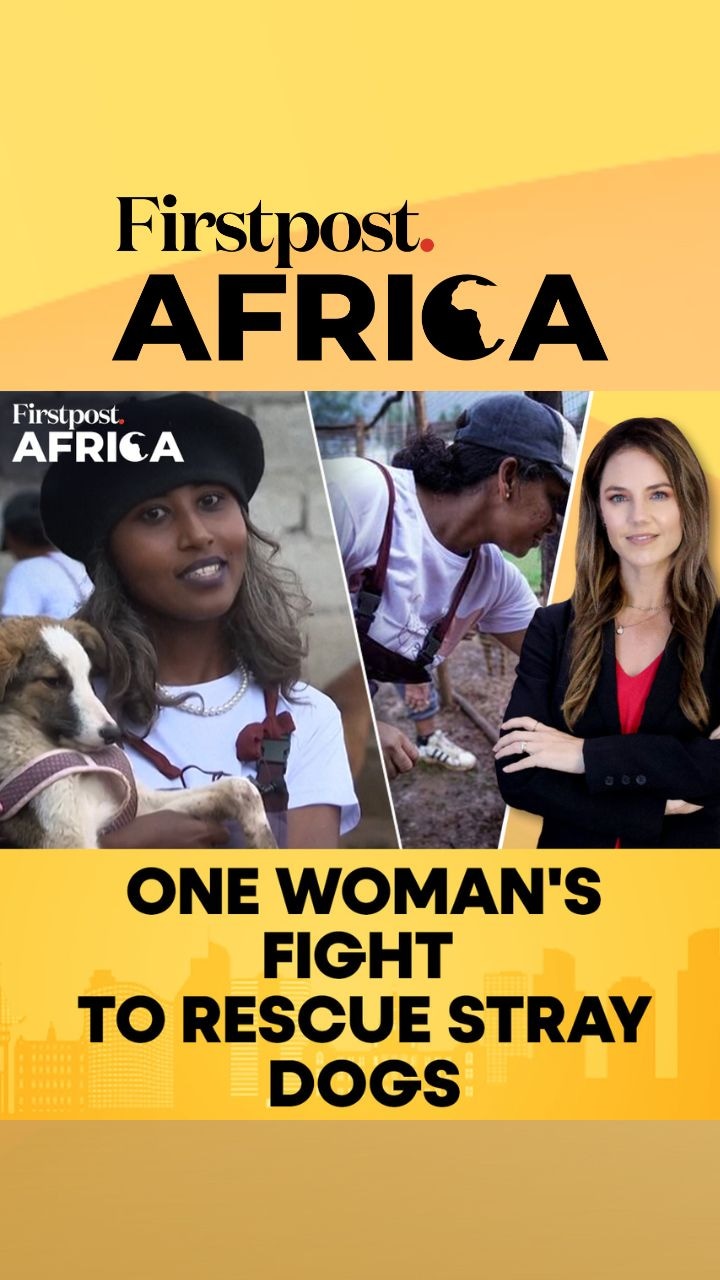 Ethiopian Woman's Fight to Rescue Stray Dogs | Firstpost Africa 