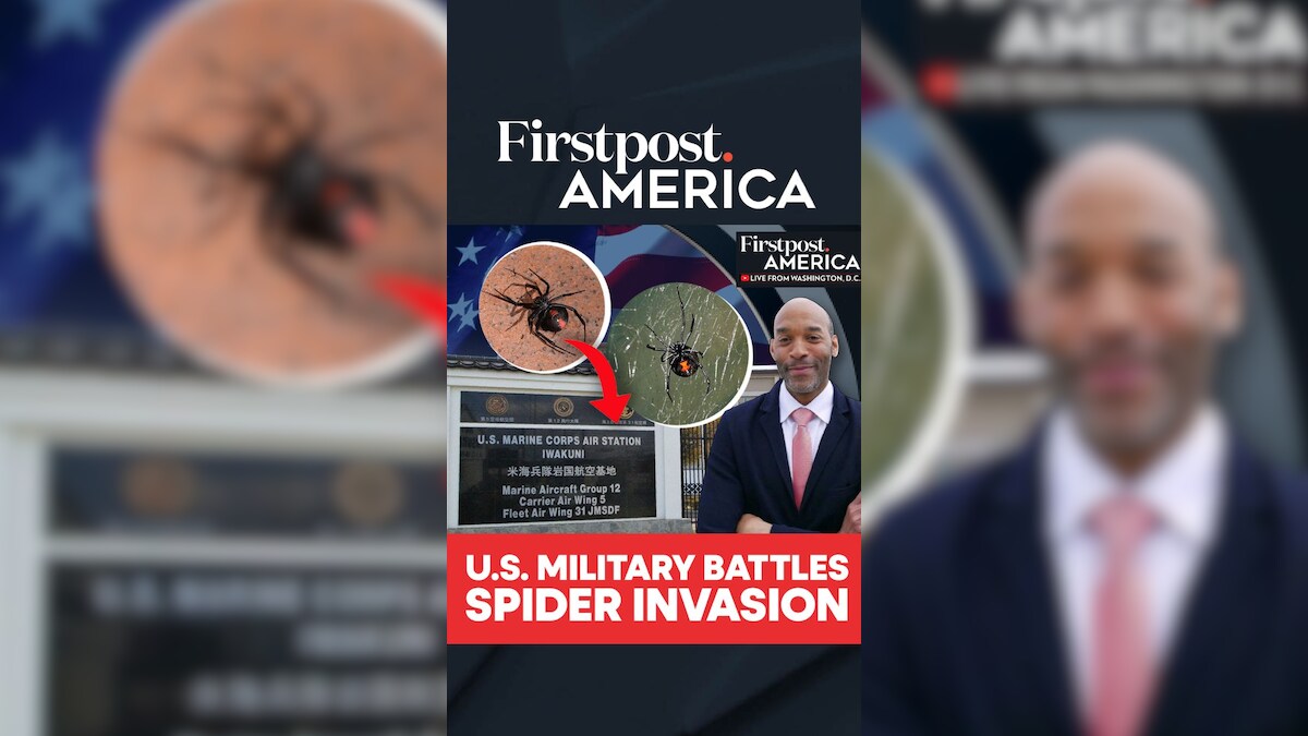 US Military Battles Spider Invasion | Firstpost America