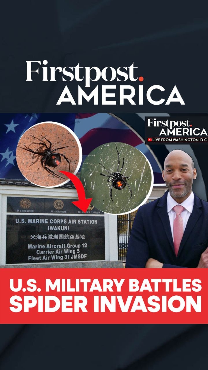 US Military Battles Spider Invasion | Firstpost America